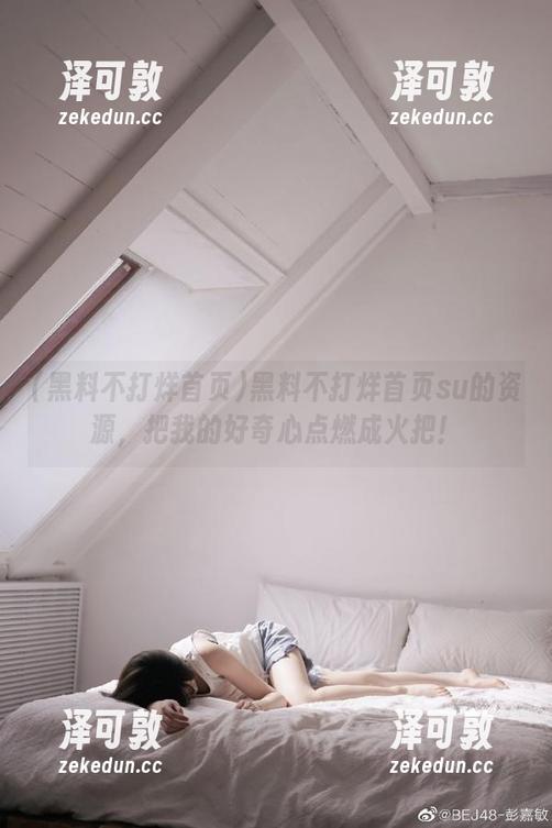 黑料不打烊首页su的资源，把我的好奇心点燃成火把！