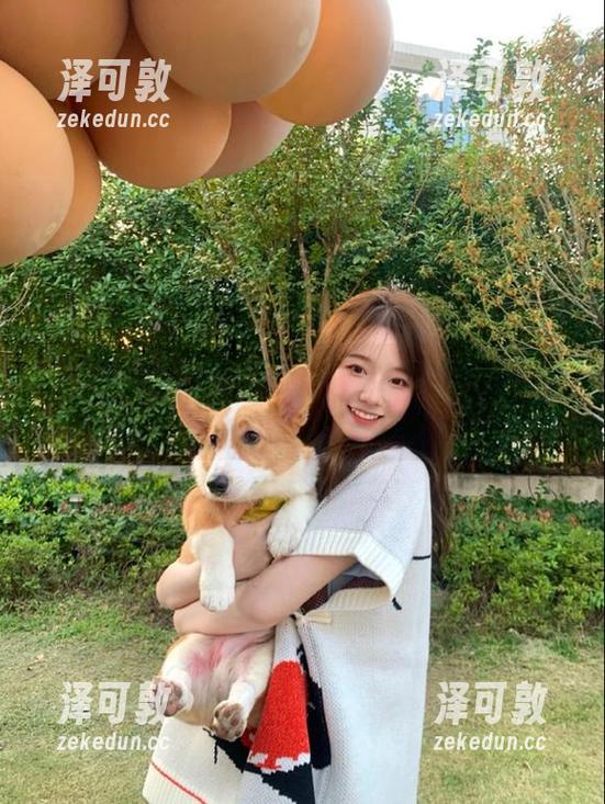 链接让我停下了脚步，万篇长征黑料正能量中藏着哪些八卦？